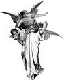 angel 26