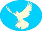 dove 06