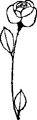 flower 12
