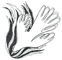 Dove symbol of Holy Spirit by Kathy Rice Grimm