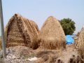 hay stacks