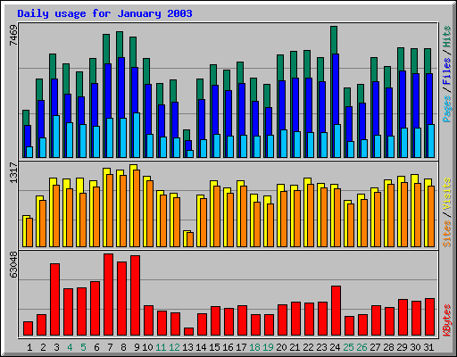 Daily usage for January 2003