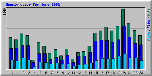 Hourly usage for June 2002