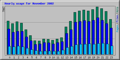 Hourly usage for November 2002